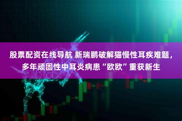 股票配资在线导航 新瑞鹏破解猫慢性耳疾难题，多年顽固性中耳炎病患“欧欧”重获新生